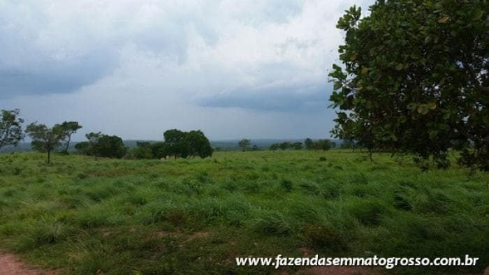 Fazenda Acorizal 3
