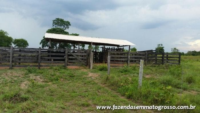 Fazenda Acorizal 10