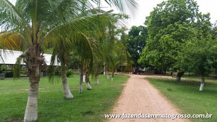 Fazenda Acorizal — Acorizal, MT