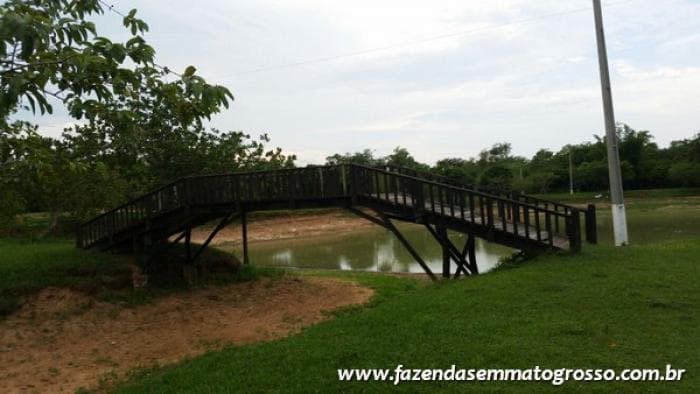 Fazenda Acorizal 47