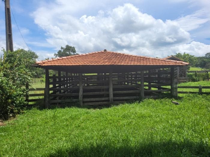 Fazenda em acorizal 2