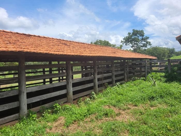 Fazenda em acorizal 11