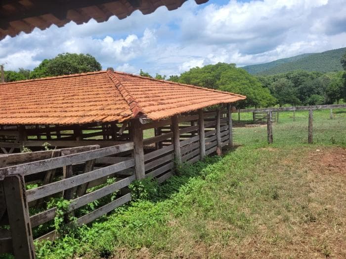Fazenda em acorizal 6