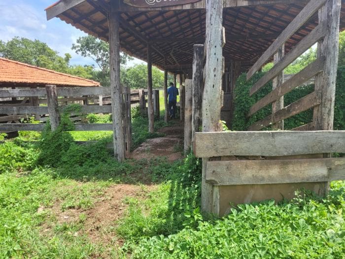 Fazenda em acorizal 3