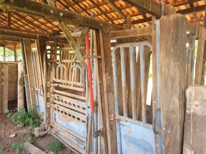 Fazenda em acorizal 4