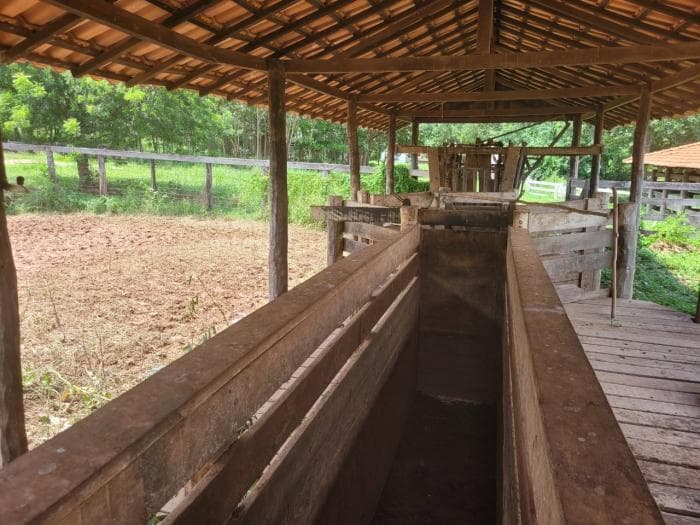 Fazenda em acorizal 7