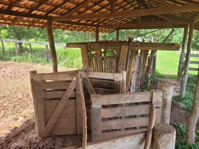 Fazenda em acorizal 8