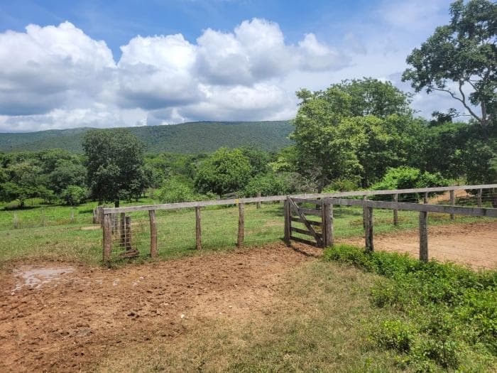 Fazenda em acorizal 9