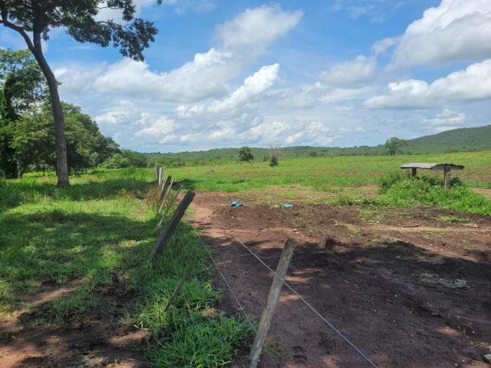 Fazenda em acorizal 18