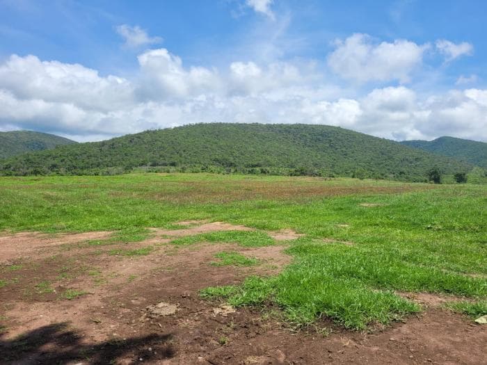 Fazenda em acorizal 22