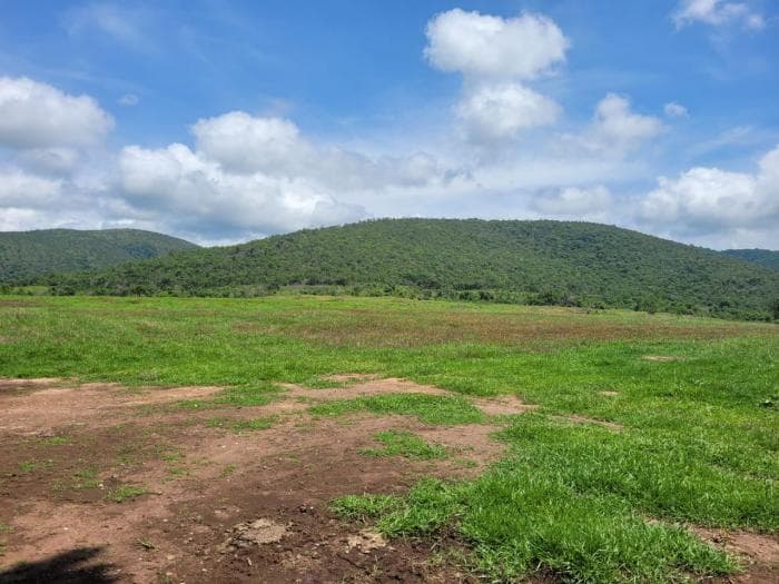 Fazenda em acorizal 21