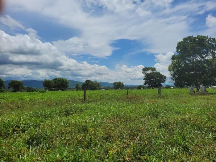 Fazenda em acorizal 25