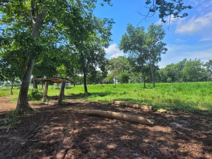 Fazenda em acorizal 32