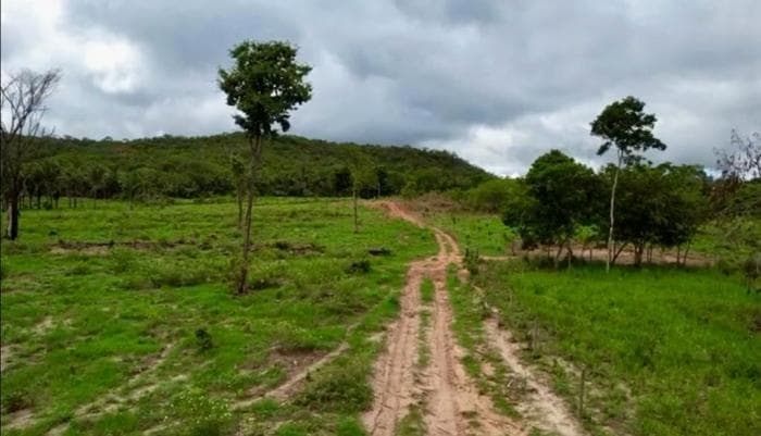 Fazenda em Agua fria 8