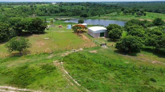 Fazenda a venda em Nossa Senhora do Livramento — Nossa Senhora do Livramento, MT