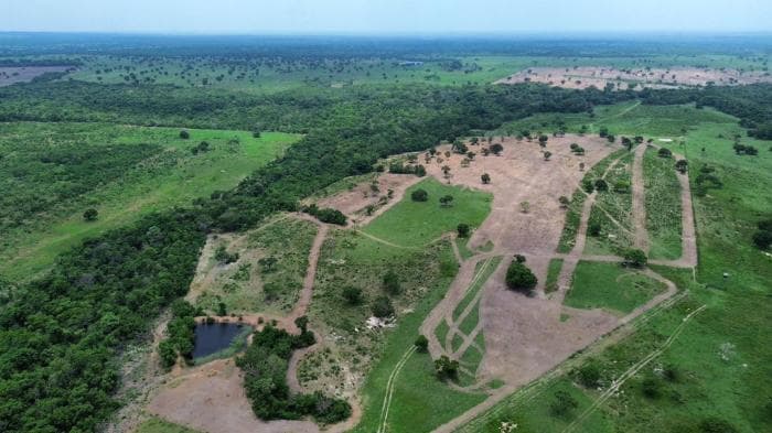 Fazenda a venda em Nossa Senhora do Livramento 7