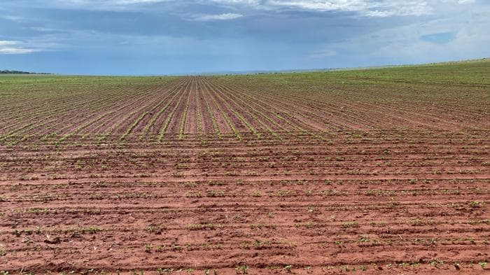 Fazenda a venda em Paranatinga 2