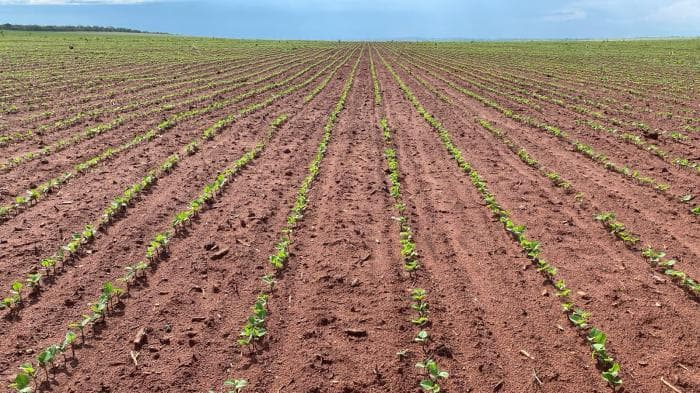 Fazenda a venda em Paranatinga 5
