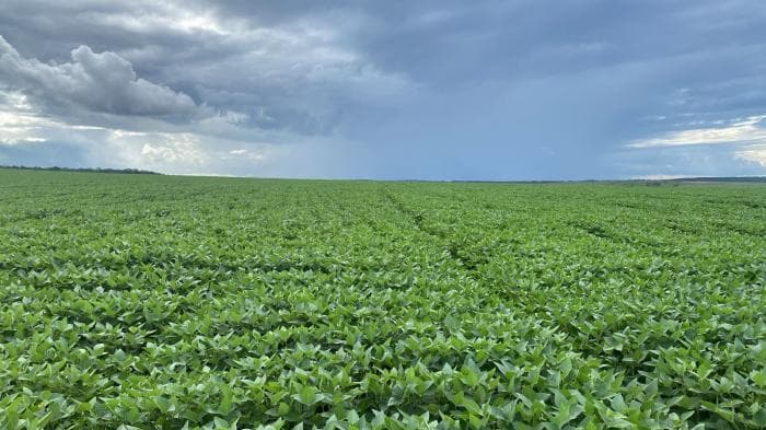 Fazenda a venda em Paranatinga — Paranatinga, MT