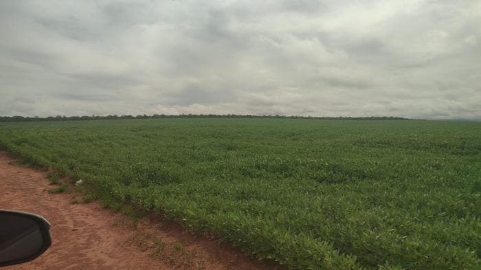 Fazenda a venda em Paranatinga 3
