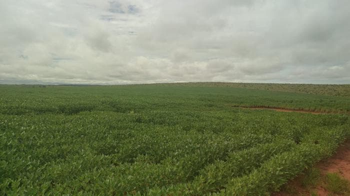 Fazenda a venda em Paranatinga 11