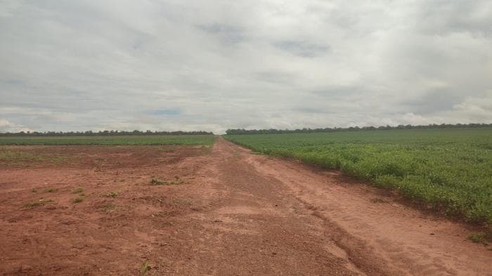 Fazenda a venda em Paranatinga 7