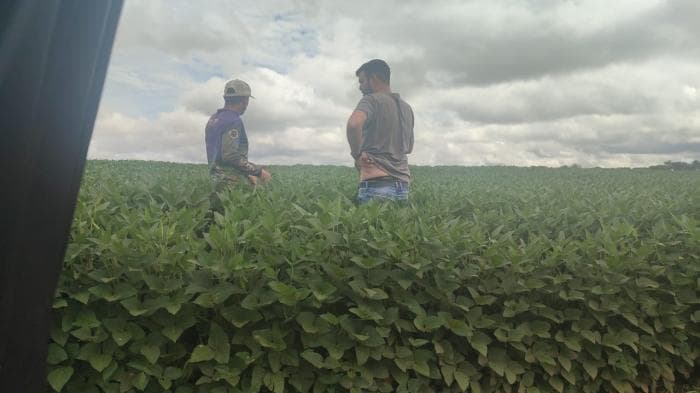 Fazenda a venda em Paranatinga 13