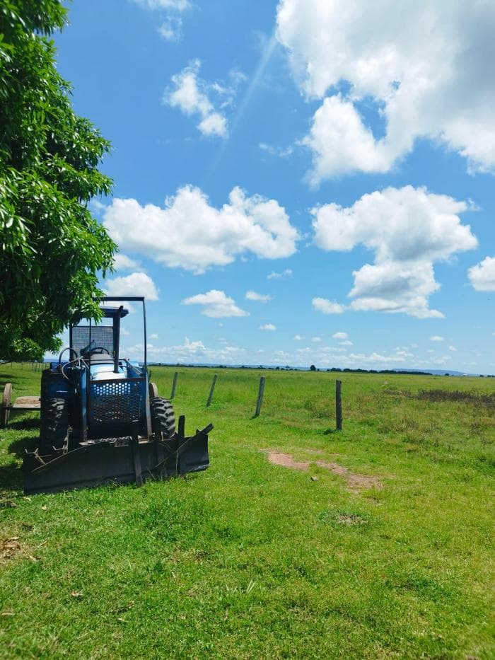 Fazenda a venda em Jangada 6