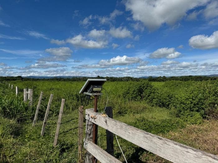Fazenda a venda em Cuiabá 3
