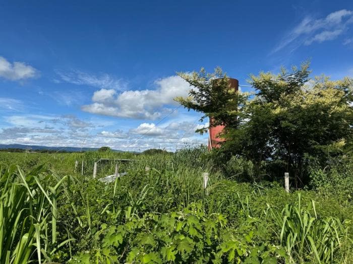 Fazenda a venda em Cuiabá 6