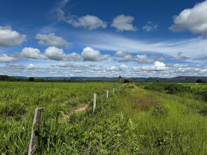 Fazenda a venda em Cuiabá 9