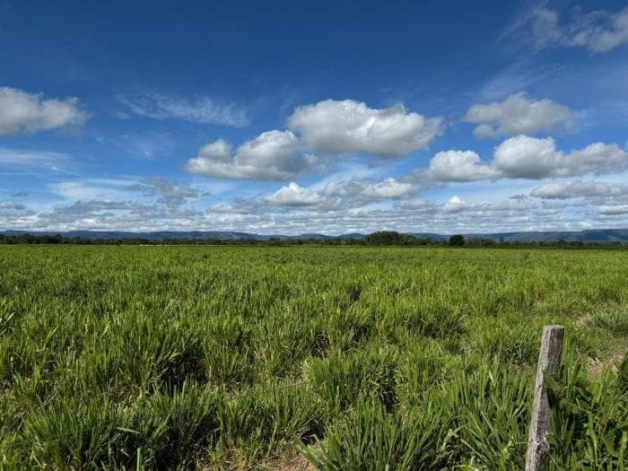 Fazenda a venda em Cuiabá 13