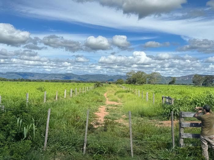 Fazenda a venda em Cuiabá — Cuiabá, MT