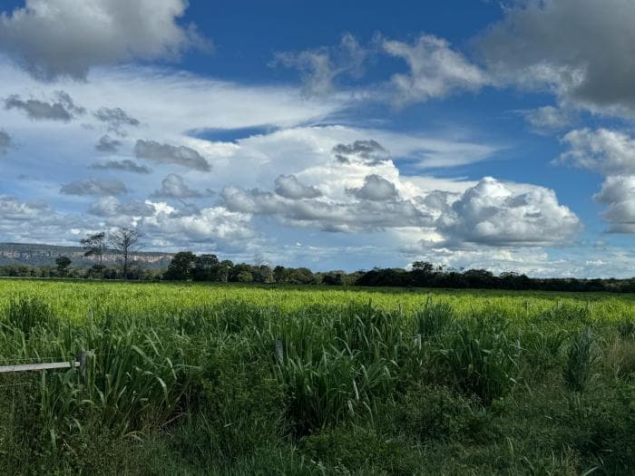 Fazenda a venda em Cuiabá 14