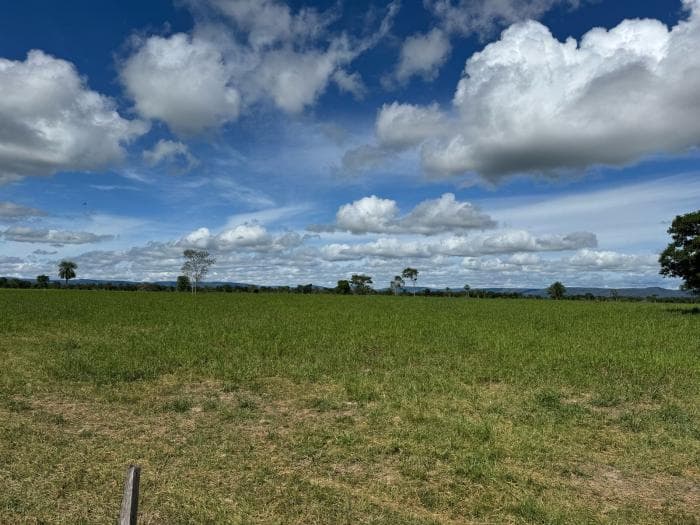 Fazenda a venda em Cuiabá 25