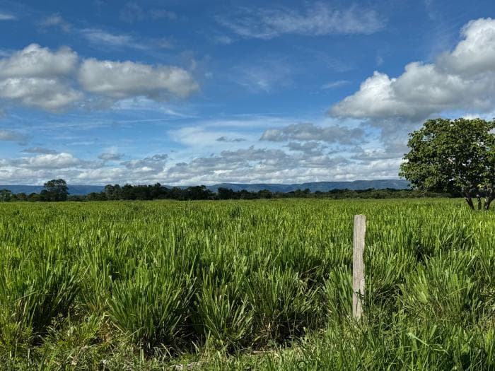 Fazenda a venda em Cuiabá 18