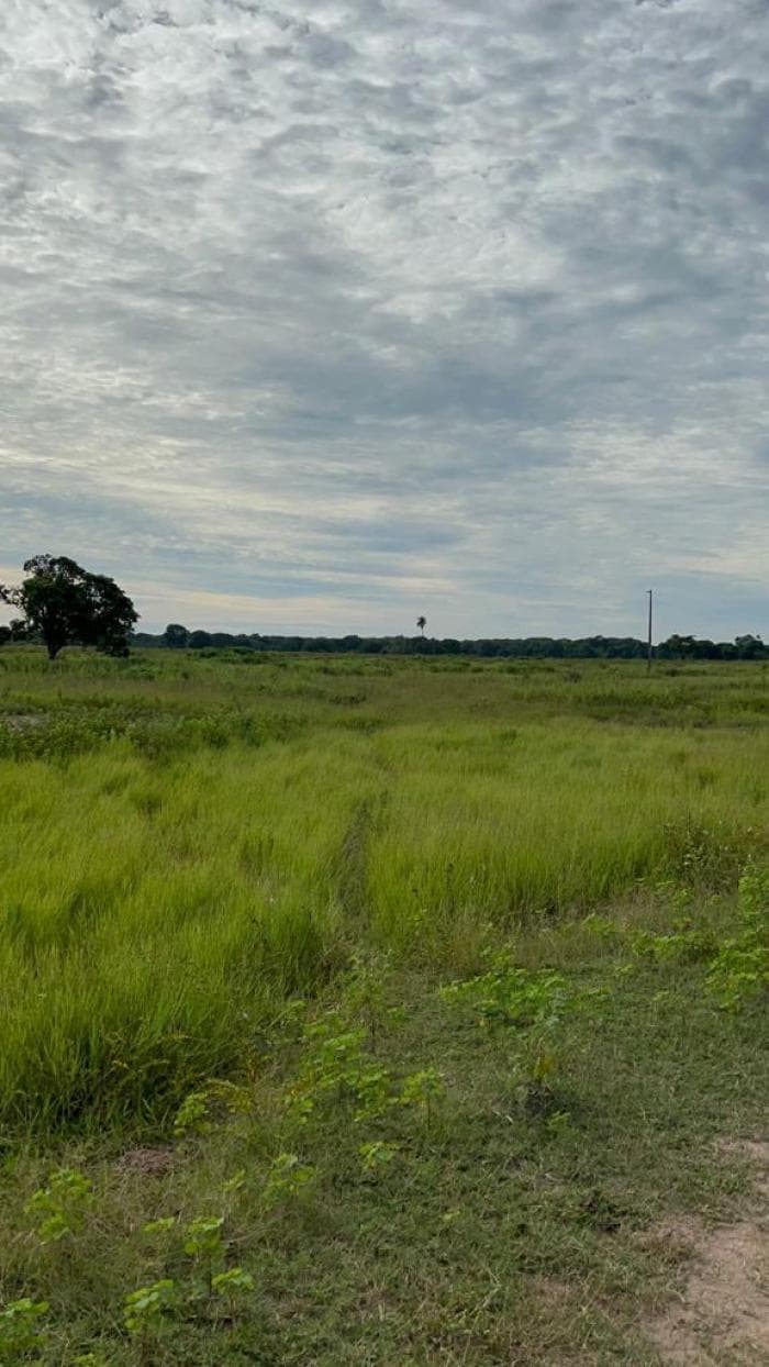Fazenda a venda em Rondonópolis 5