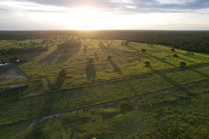 Fazenda a venda em Rondonópolis 10