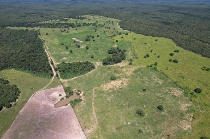 Fazenda a venda em Rondonópolis 14