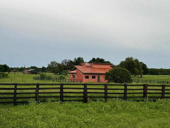 Fazenda a venda em Rondonópolis 13