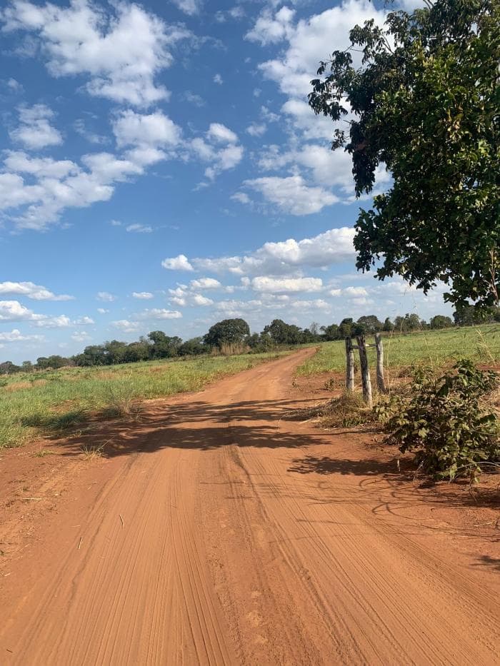 Fazenda em Acorizal 18