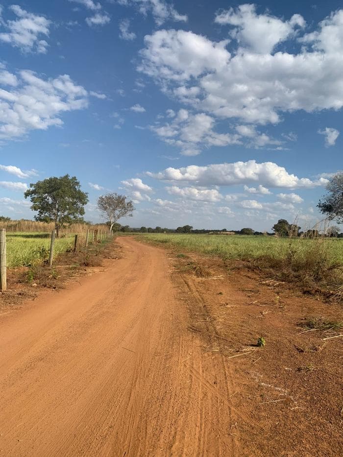 Fazenda em Acorizal 16