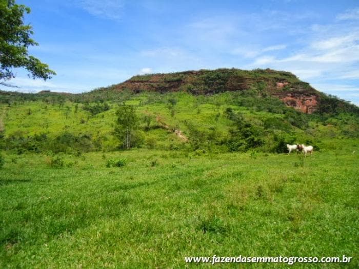 Pedra Preta 4