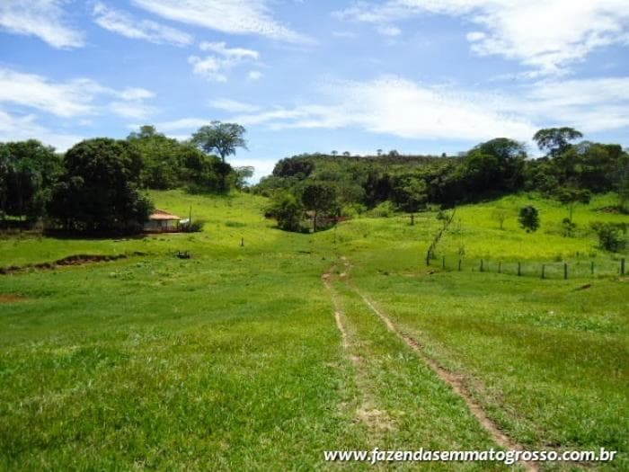 Pedra Preta 21