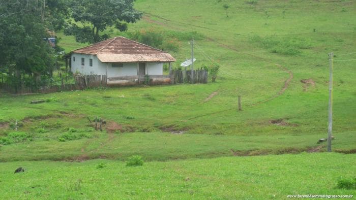 Pedra Preta 62
