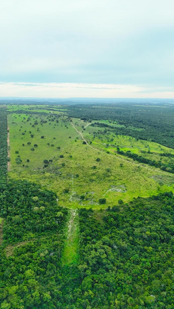 Fazenda em Manso 4
