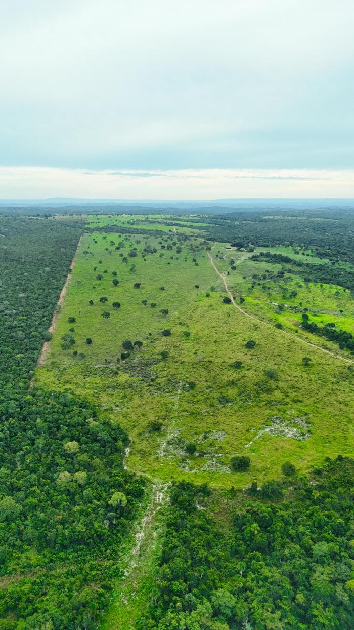 Fazenda em Manso 7
