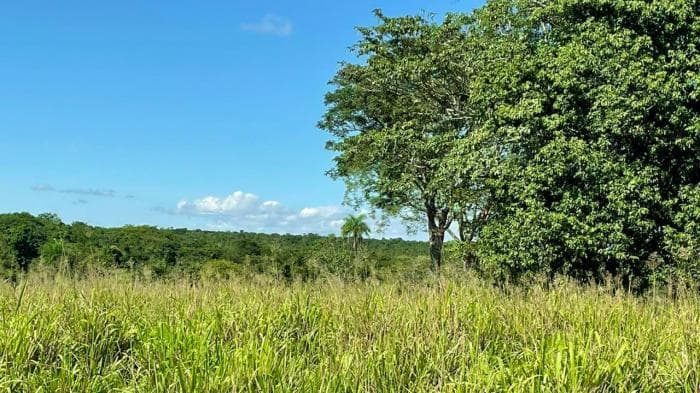 Fazenda em Manso 9