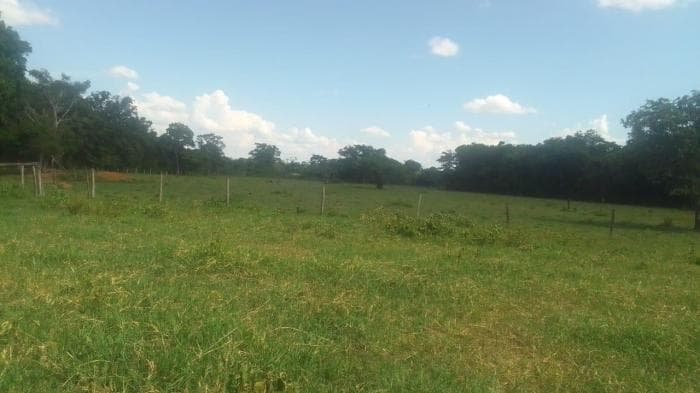 Fazenda em Acorizal 4