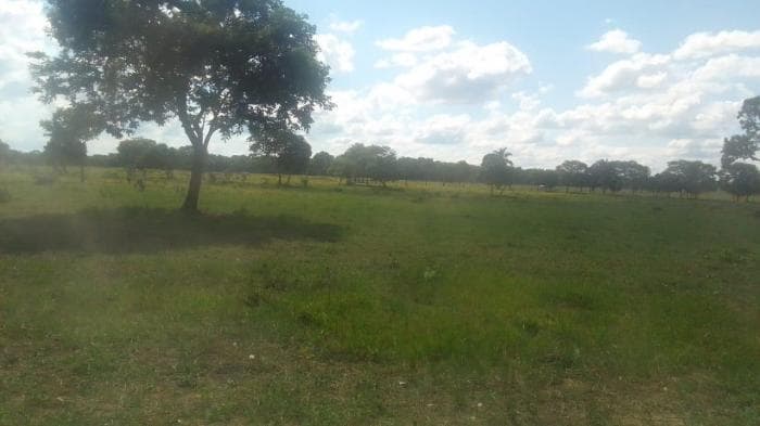 Fazenda em Acorizal 13